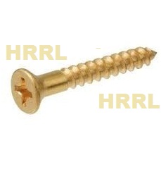 Brass Wood Screw Phillips Head